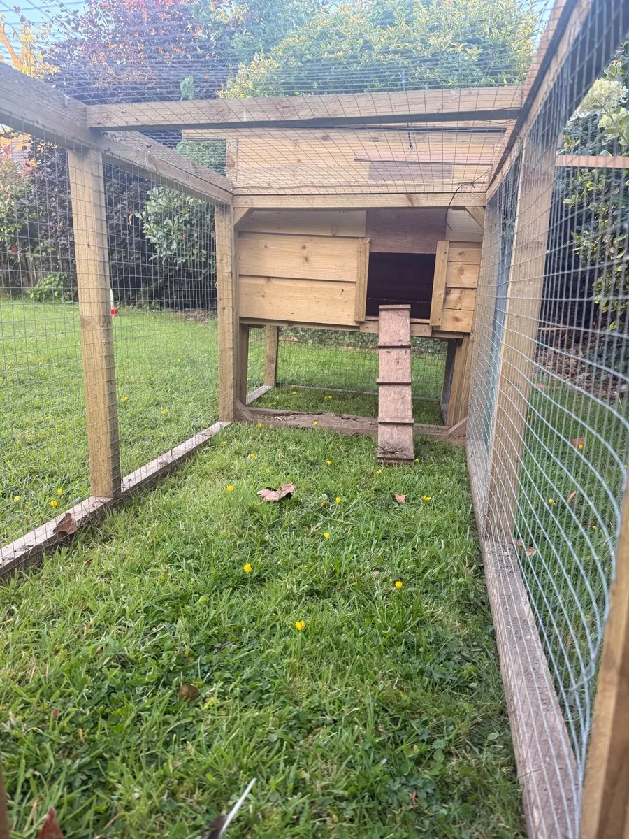 Chicken coop - Image 4