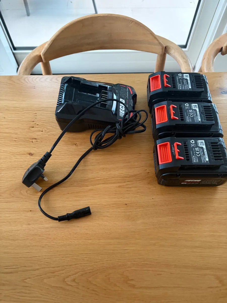 Echo Electric Lawnmower, Grass Trimmer + Batteries - Image 4