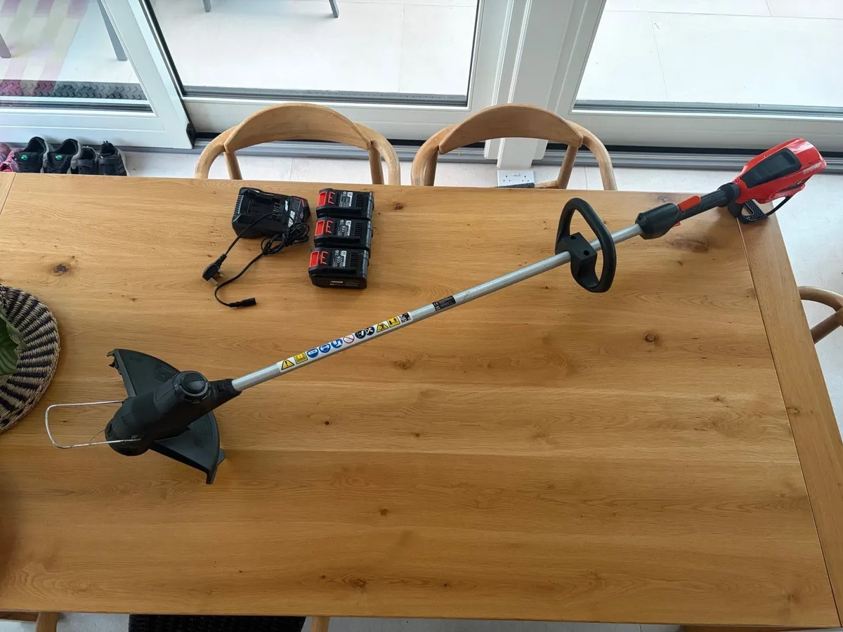 Echo Electric Lawnmower, Grass Trimmer + Batteries - Image 3