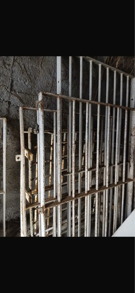 Steel security window bars - Image 4