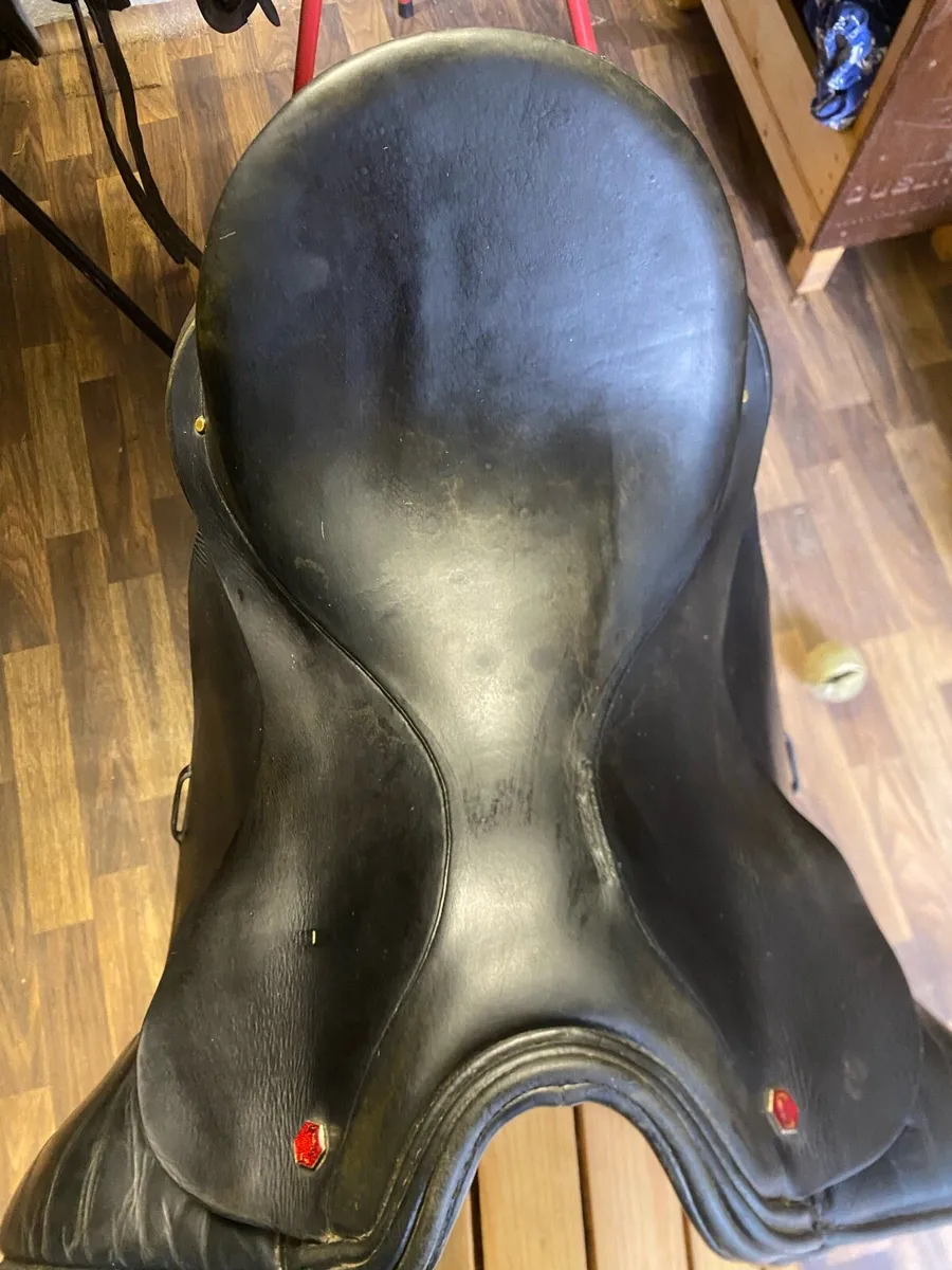 Albion black Leather Dressgae  saddle - Image 3