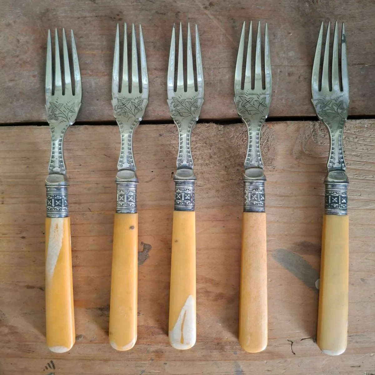 Antique Faux Bone Handle Fish Knives - Image 1