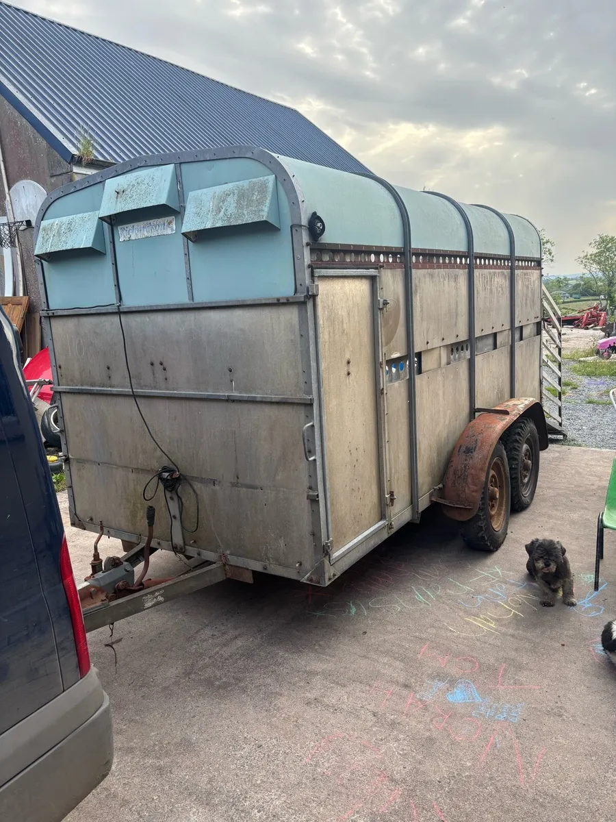 12x6 Richardson cattle trailer - Image 1