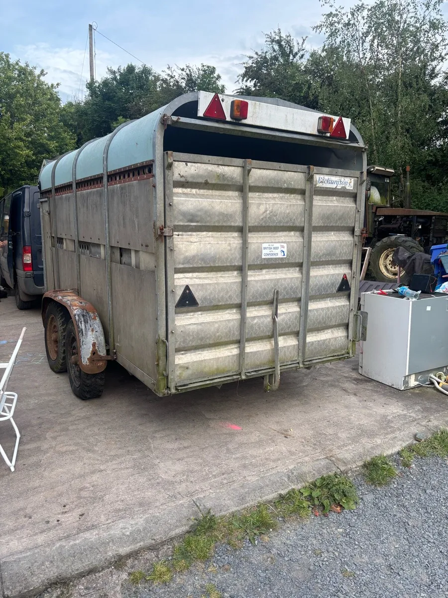 12x6 Richardson cattle trailer - Image 3