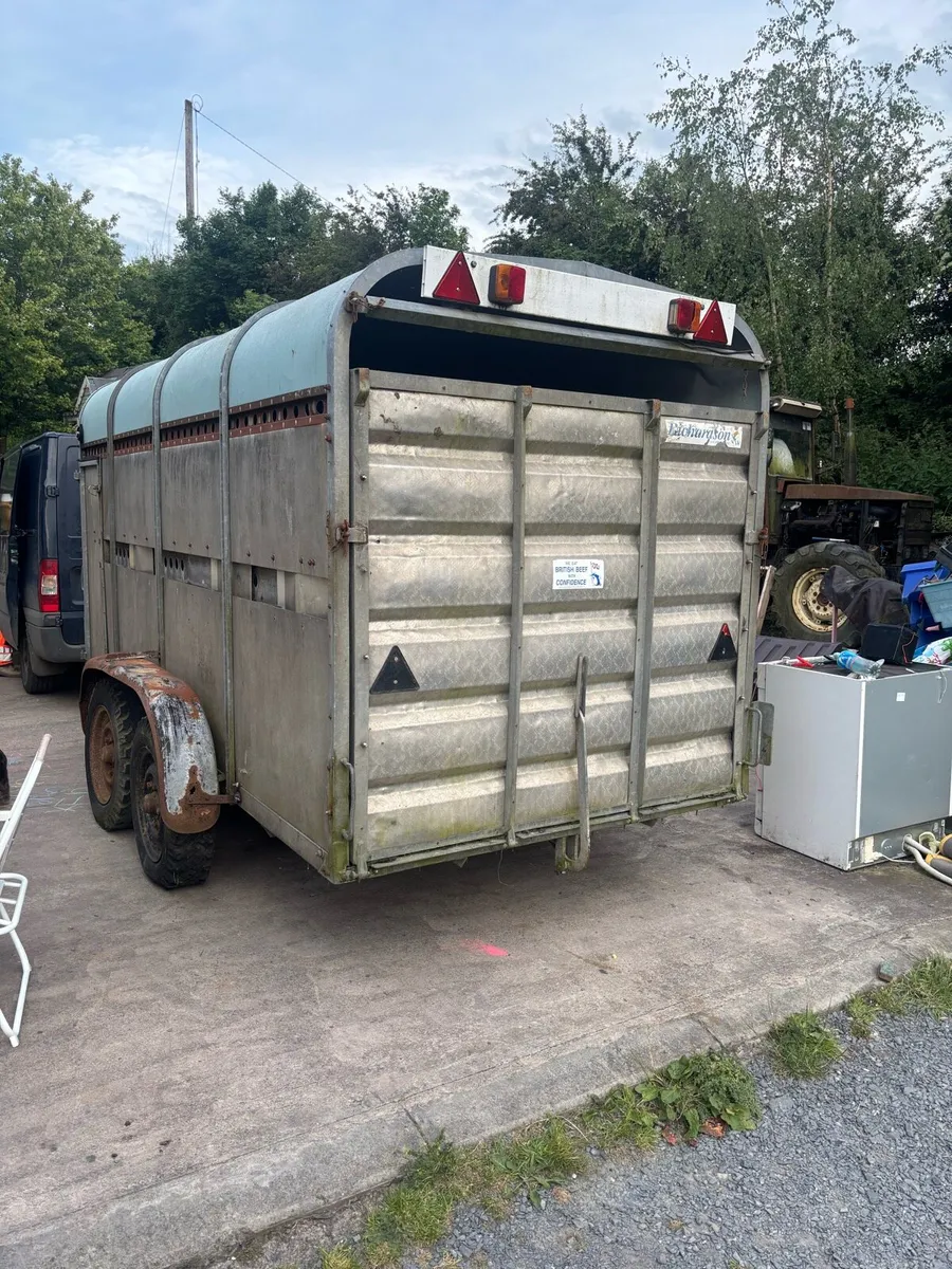 12x6 Richardson cattle trailer - Image 4