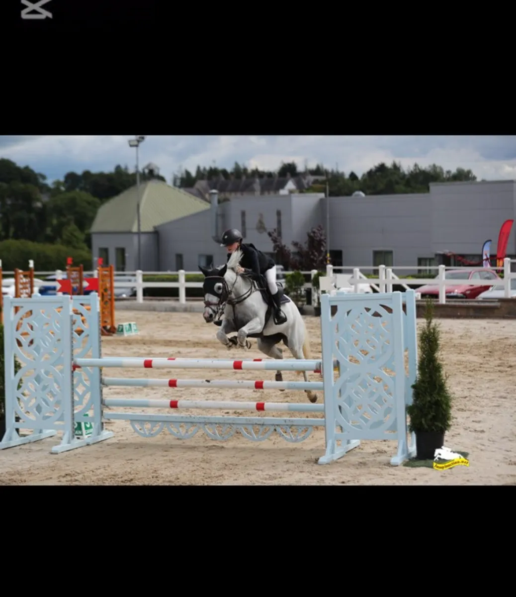 Broodmare / Project - Image 3
