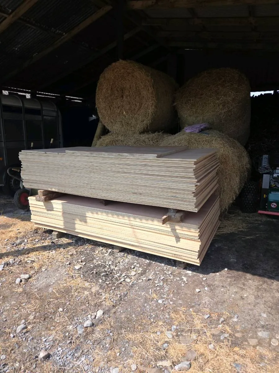 18mm Pine Faced plywood - Image 2