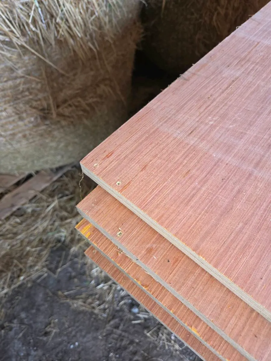 18mm Pine Faced plywood - Image 4