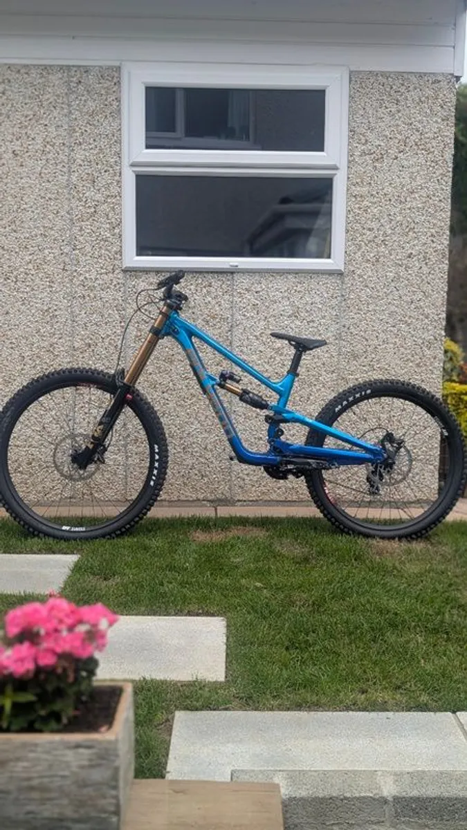Polygon Colossus DH9 Brand New Downhill Bike - Image 4