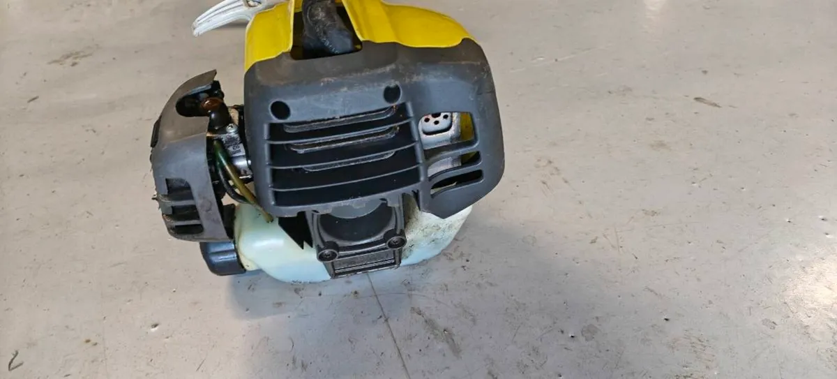 2in1 strimmer - Image 3
