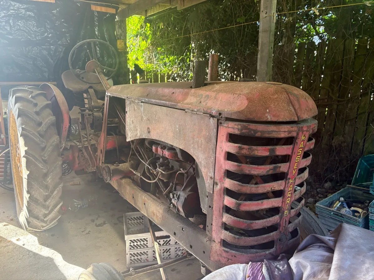 Massey Harris 22 Pony - Image 1
