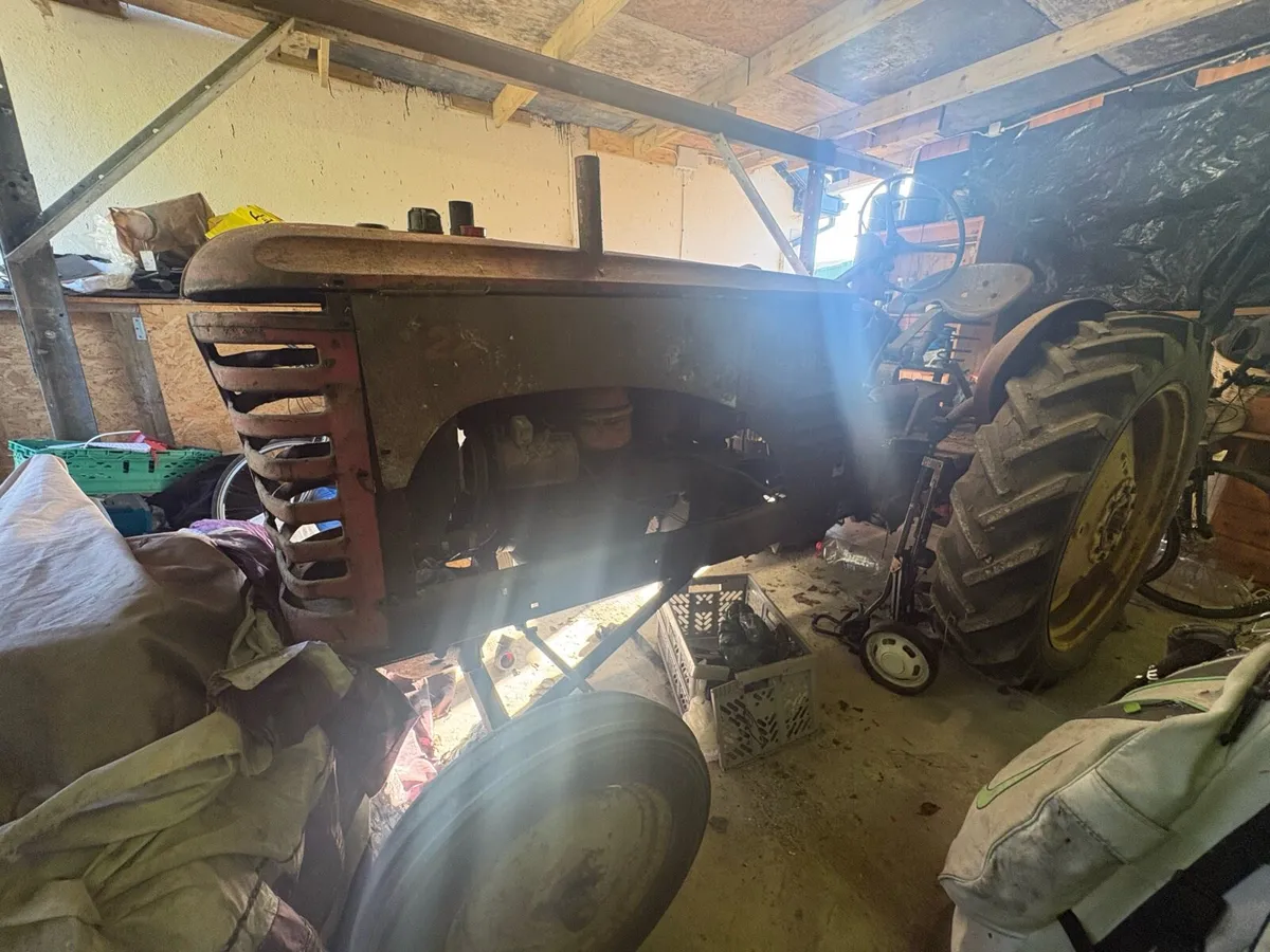 Massey Harris 22 Pony - Image 3