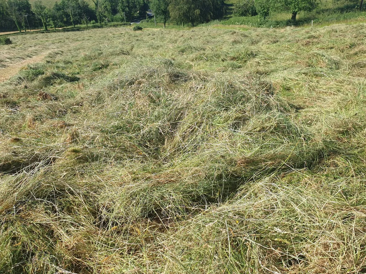 Haylage for sale