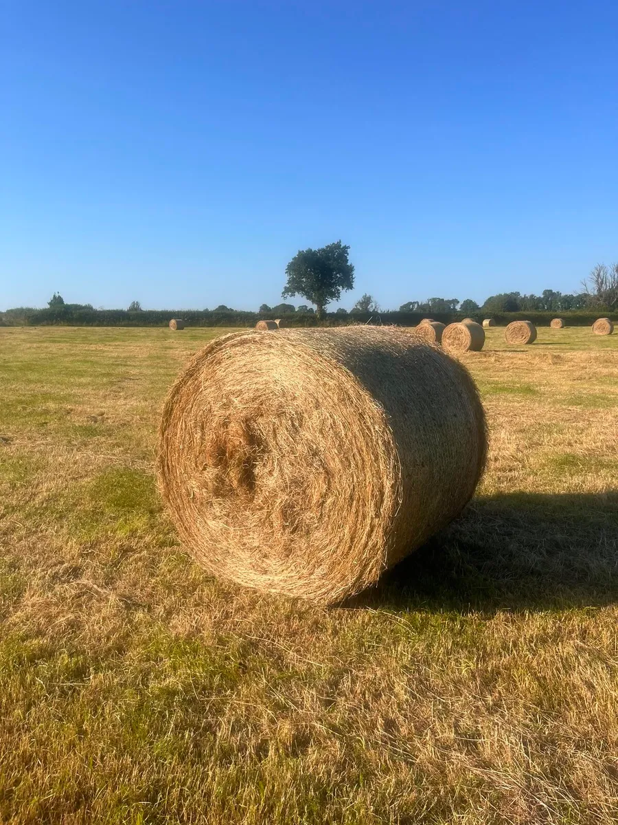 Bales of hay - Image 2