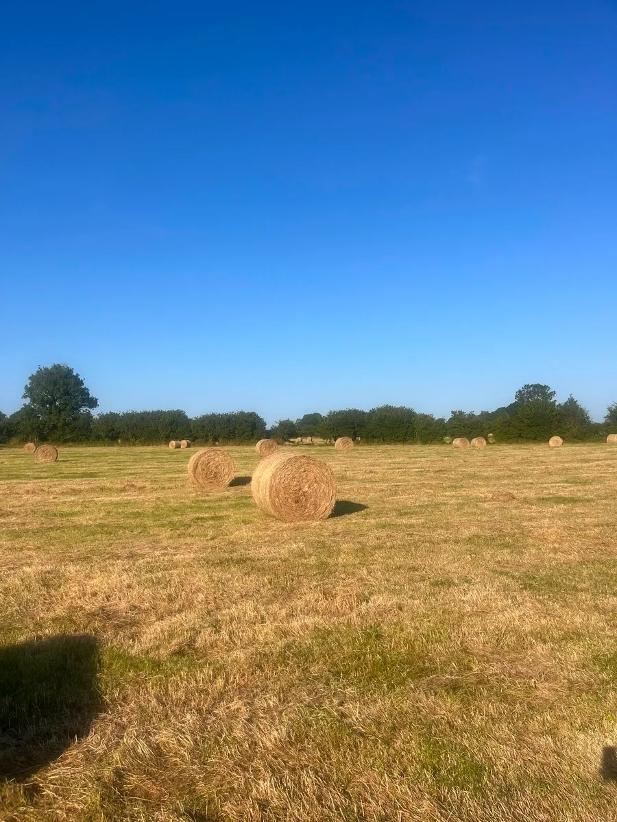 Bales of hay - Image 3