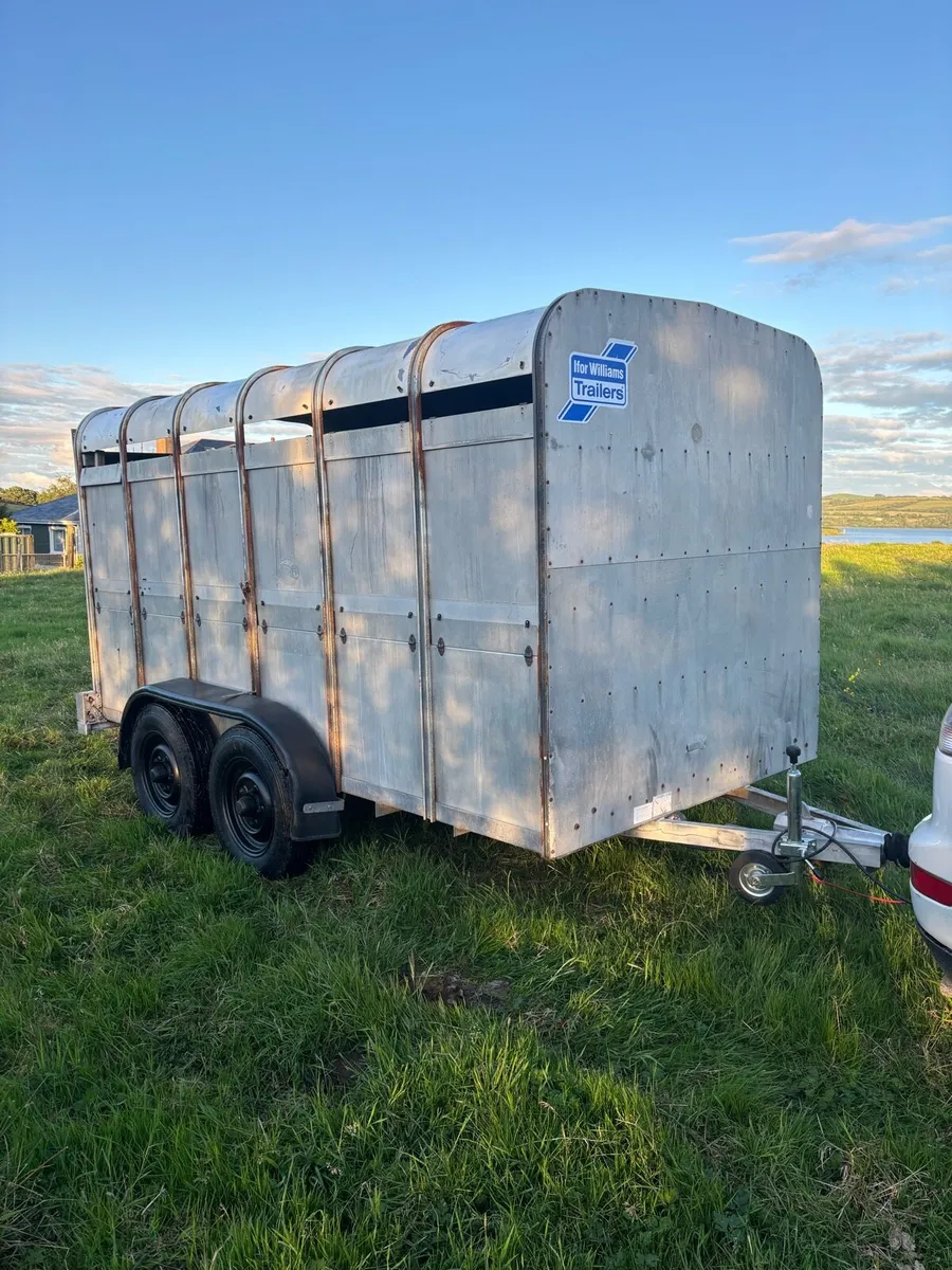 12x6 Ifor Williams cattle box - Image 1