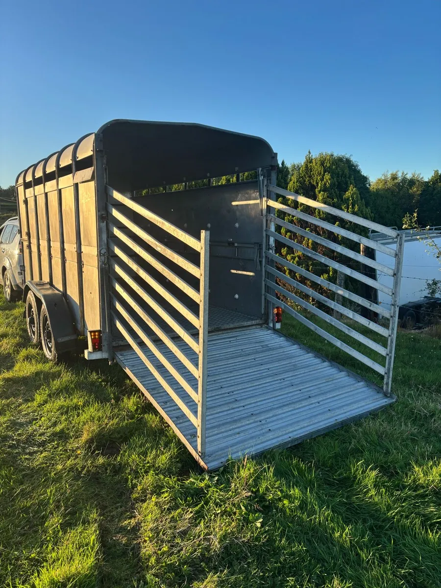 12x6 Ifor Williams cattle box - Image 2