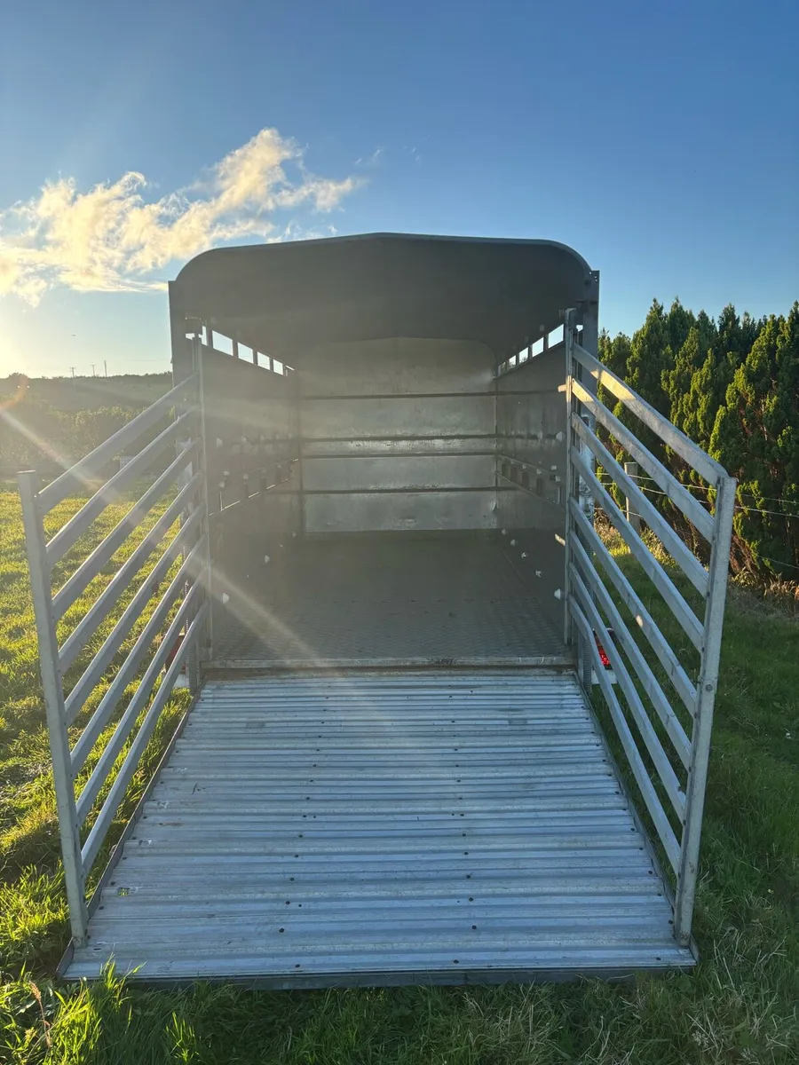 12x6 Ifor Williams cattle box - Image 3