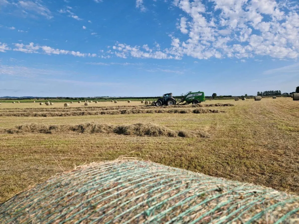 Round bales of Hay
