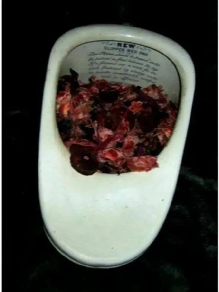 Authentic Vintage Bedpan - Image 3