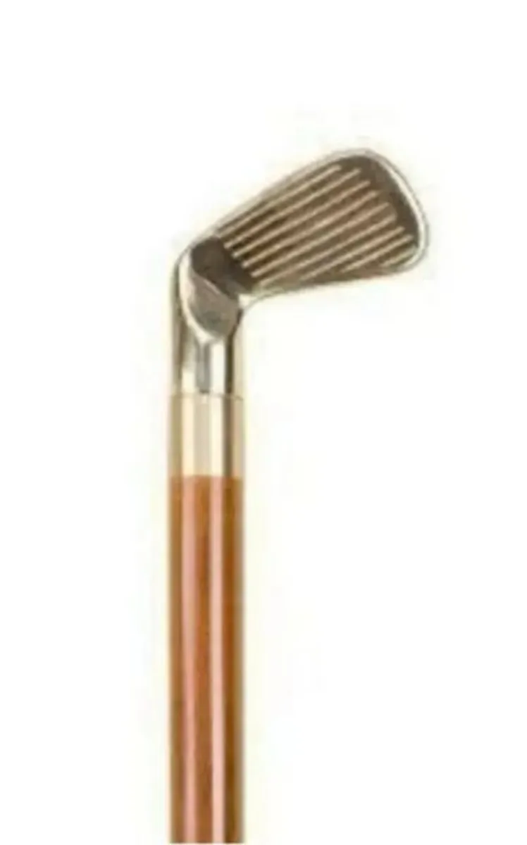 Vintage Walking/Drinking Stick - Image 2