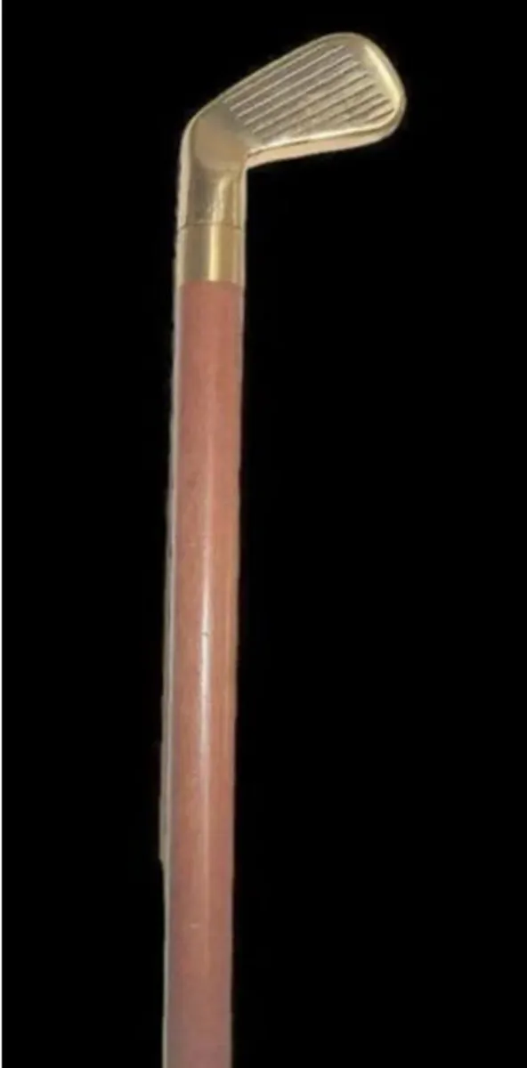 Vintage Walking/Drinking Stick - Image 3