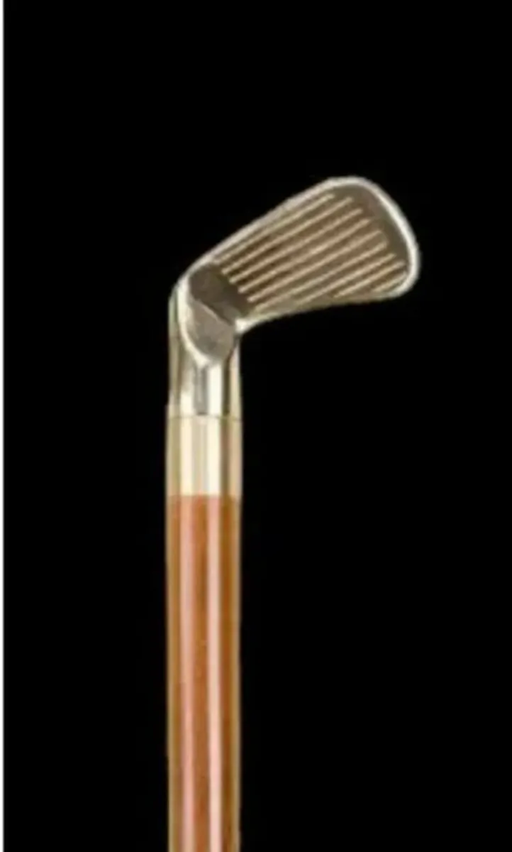 Vintage Walking/Drinking Stick - Image 4