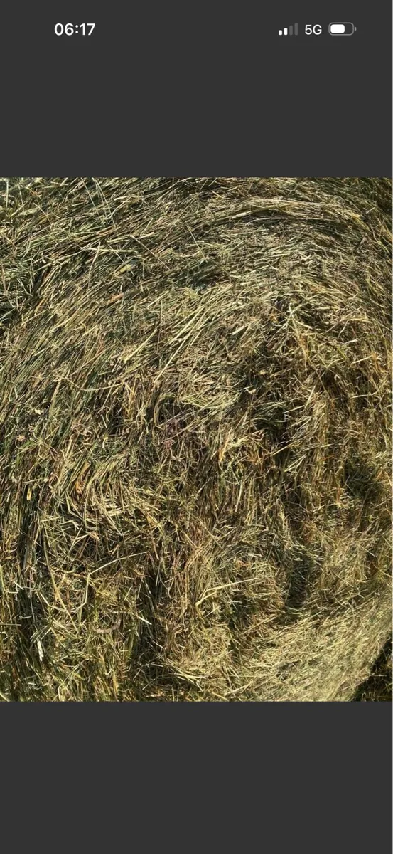Top quality hay