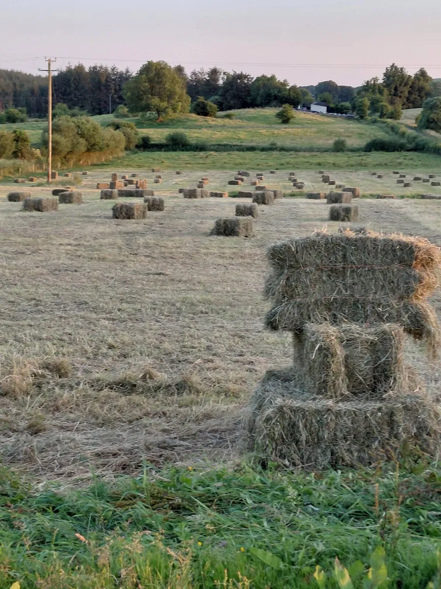 Hay bales Square and Round - Image 2