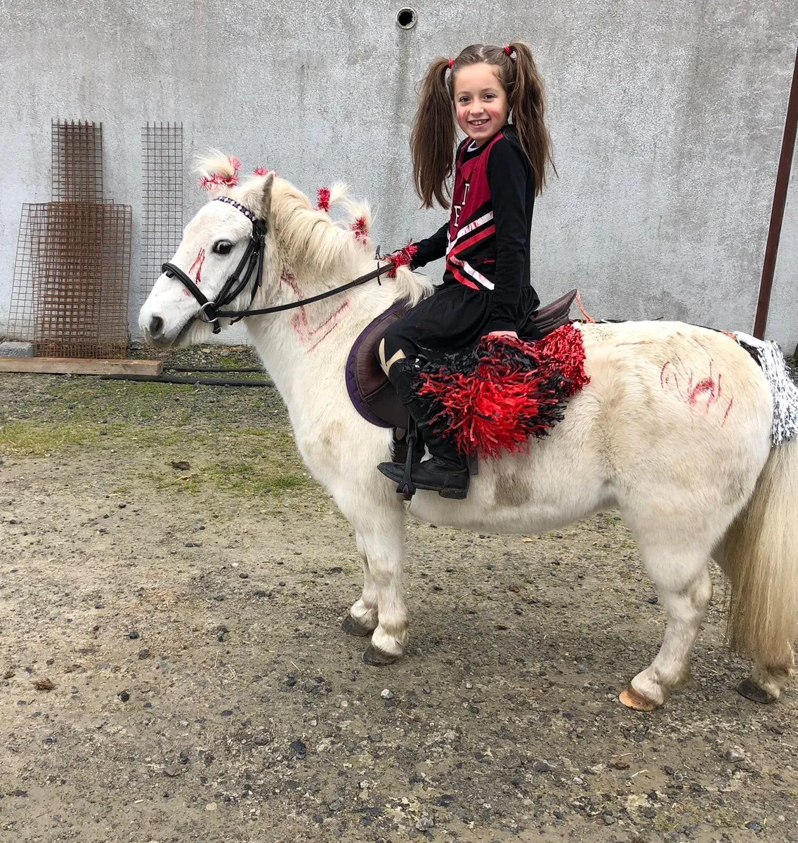 Beginner pony - Image 2