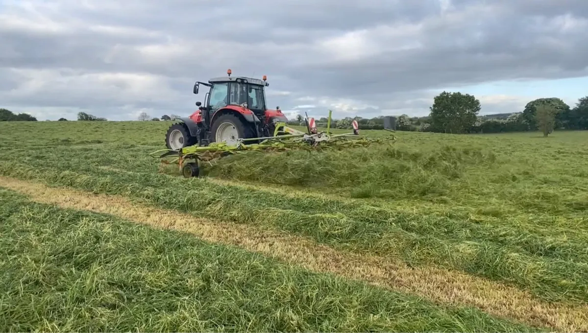 Silage - Image 3
