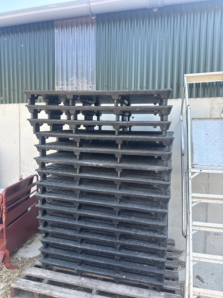 JFC Calf slats for sale - Image 1