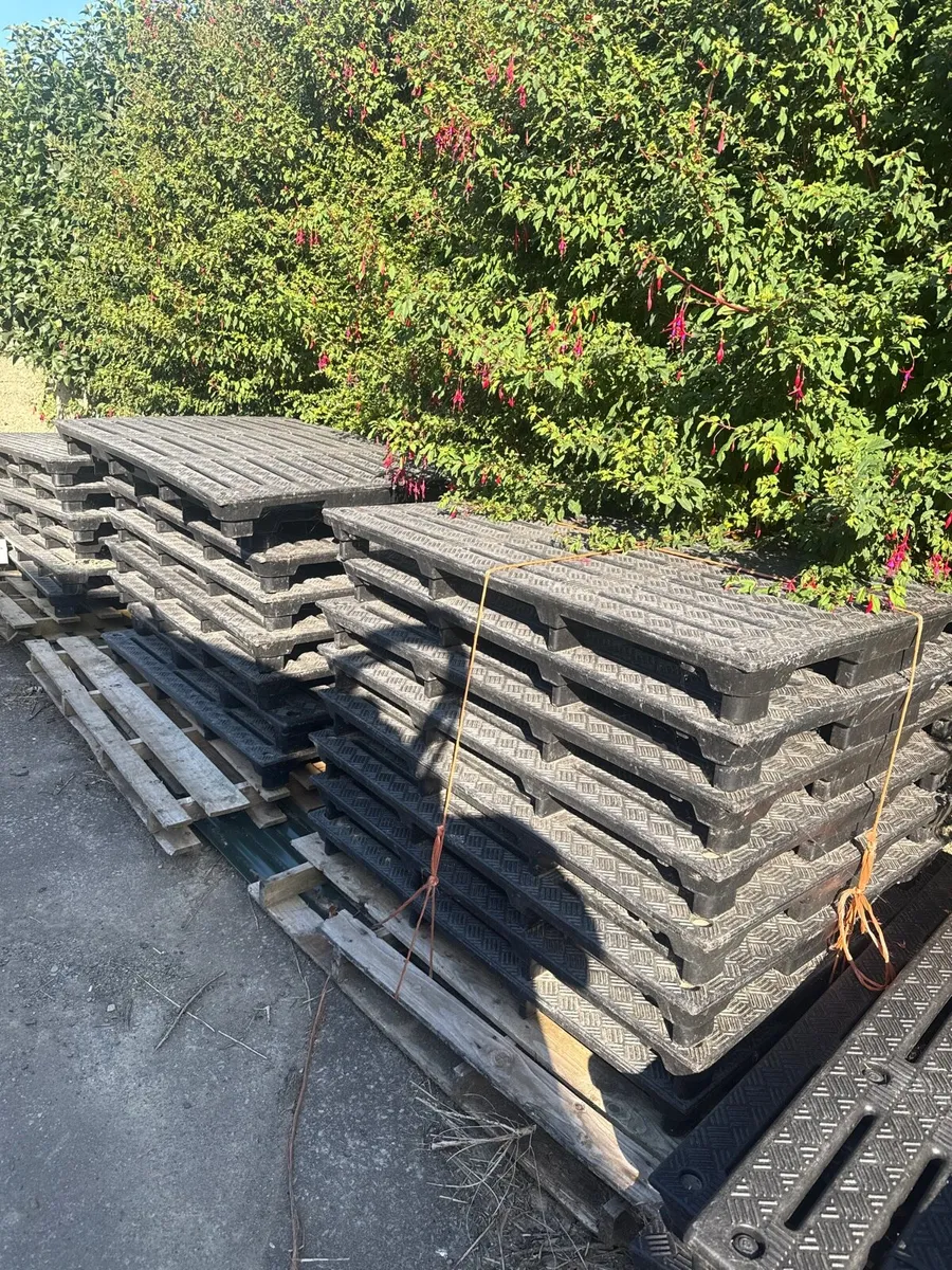 JFC Calf slats for sale - Image 2