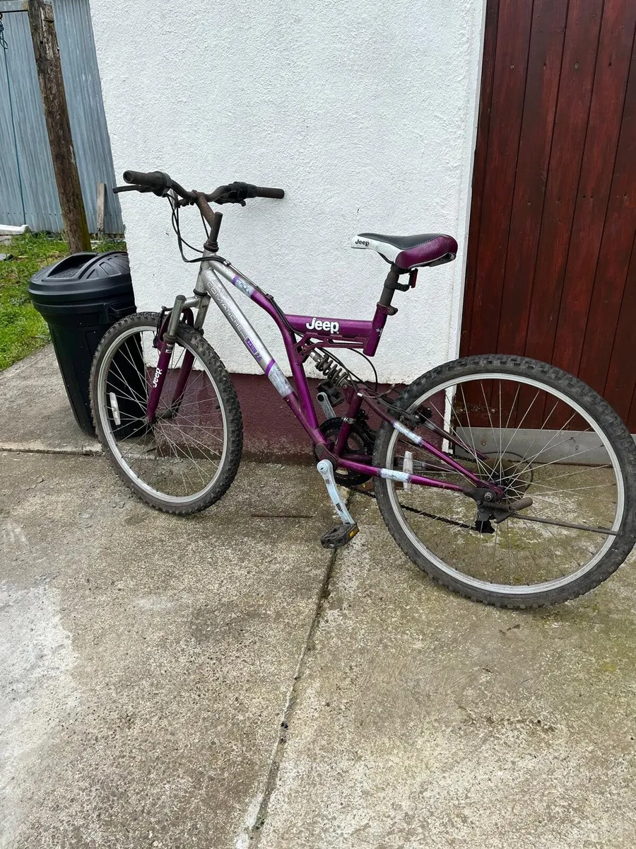 Mountain Bike