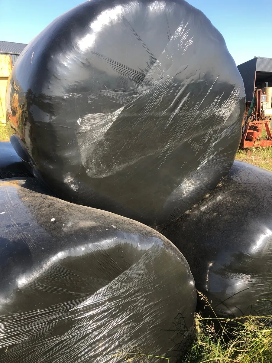 Silage and hay - Image 1