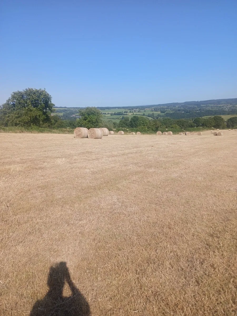 Hay bales - Image 3