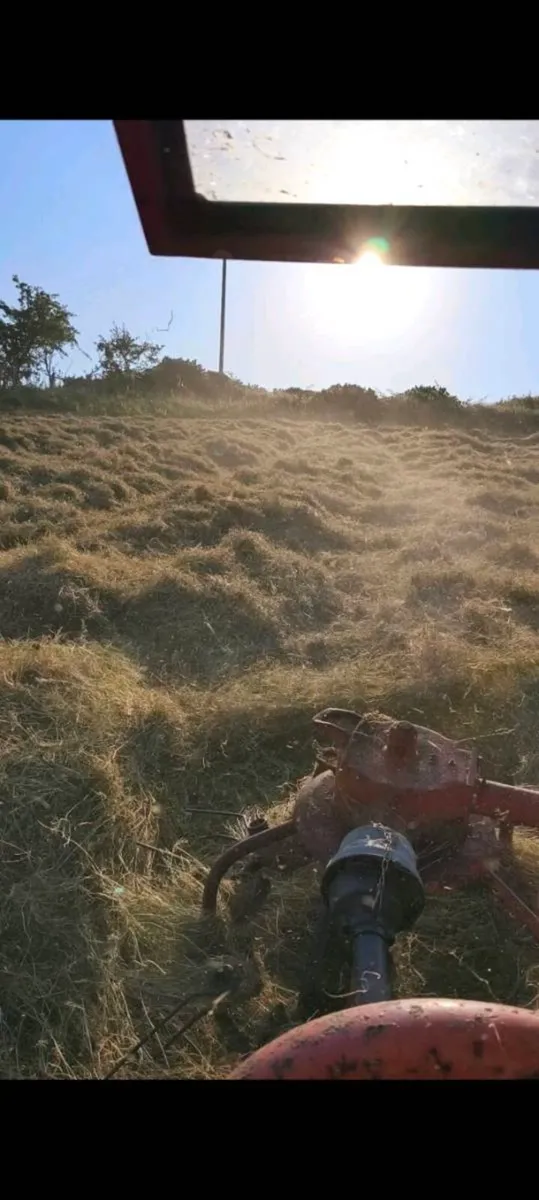 Square bale hay