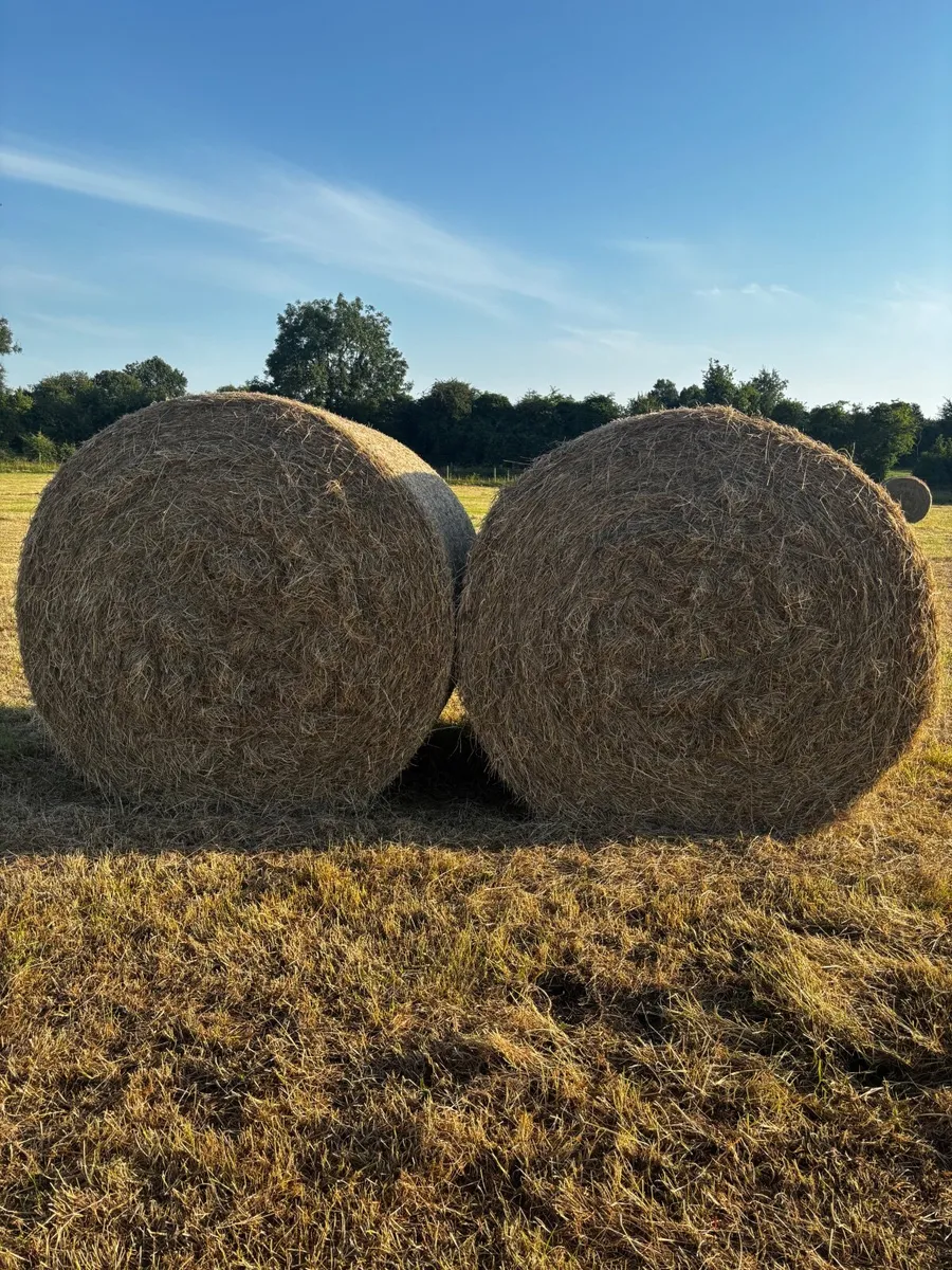 Round hay bales