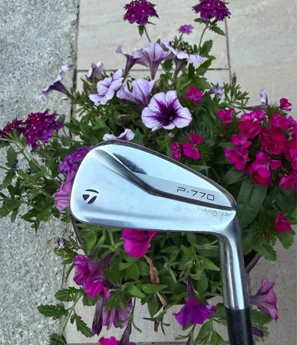 TaylorMade P770 Irons - Image 1