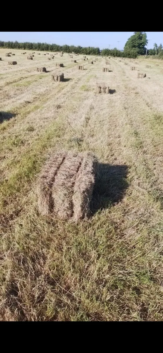 Square Hay Bales - Image 1