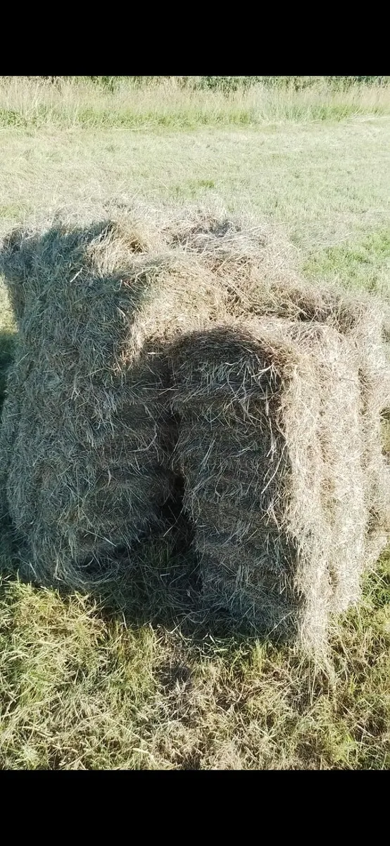 Square Hay Bales - Image 2