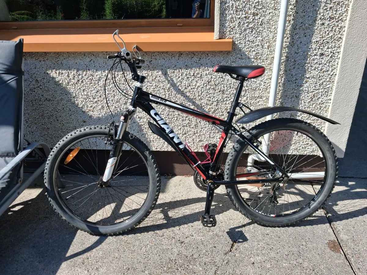 Bicycle - Image 1
