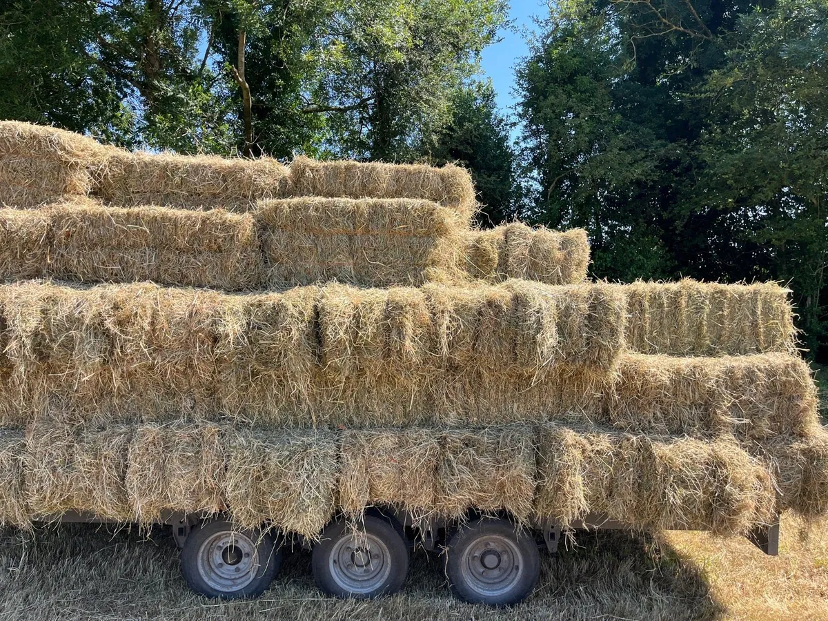 Square hay - Image 2