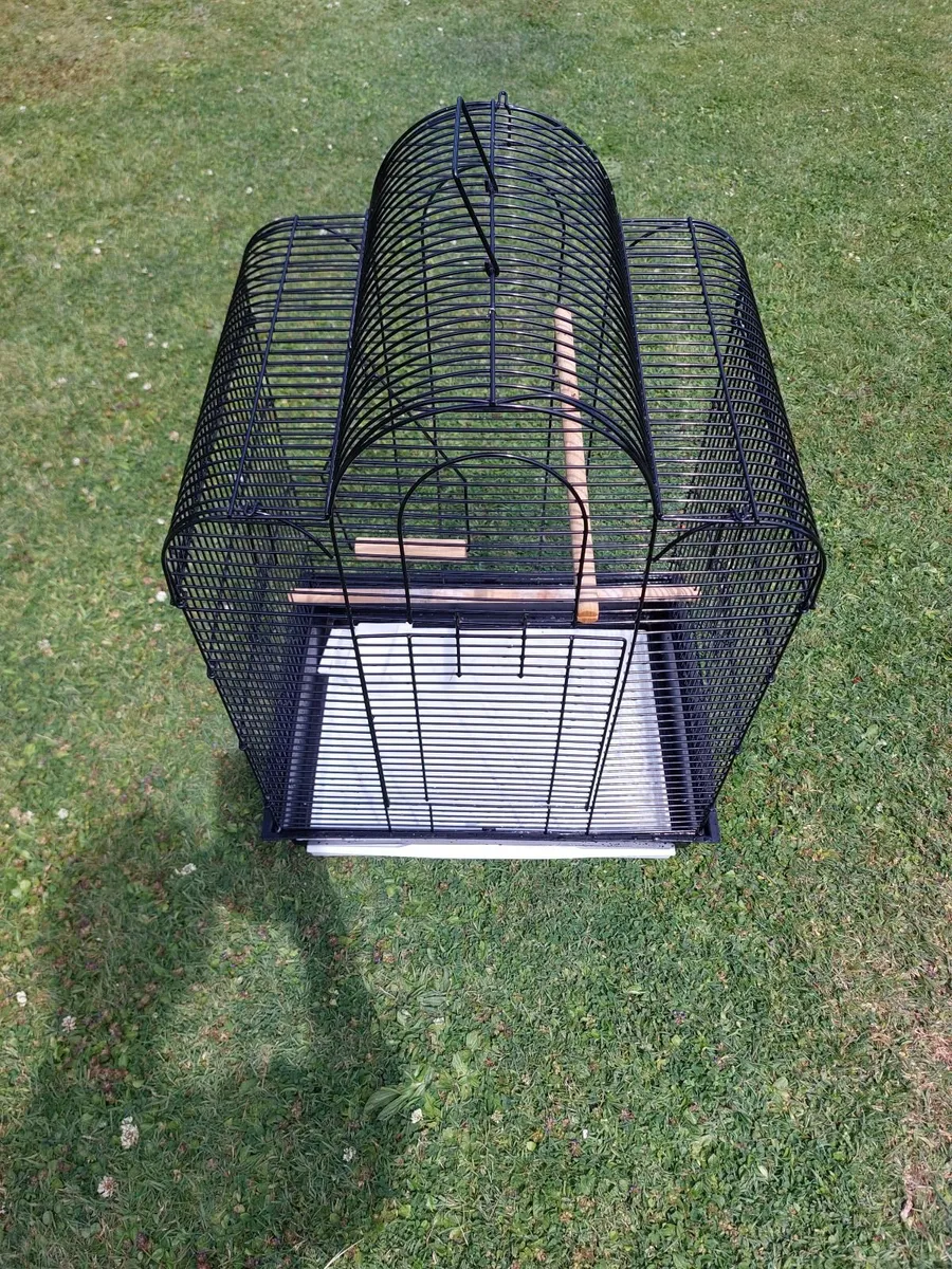 Bird cage for sale