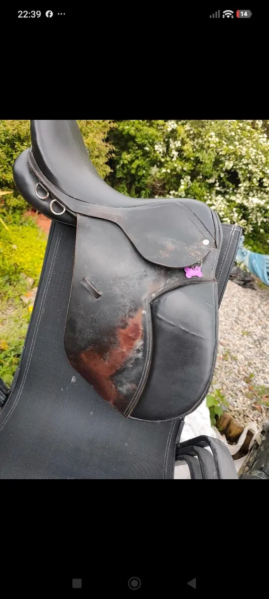 Saddle 17.5" - Image 4