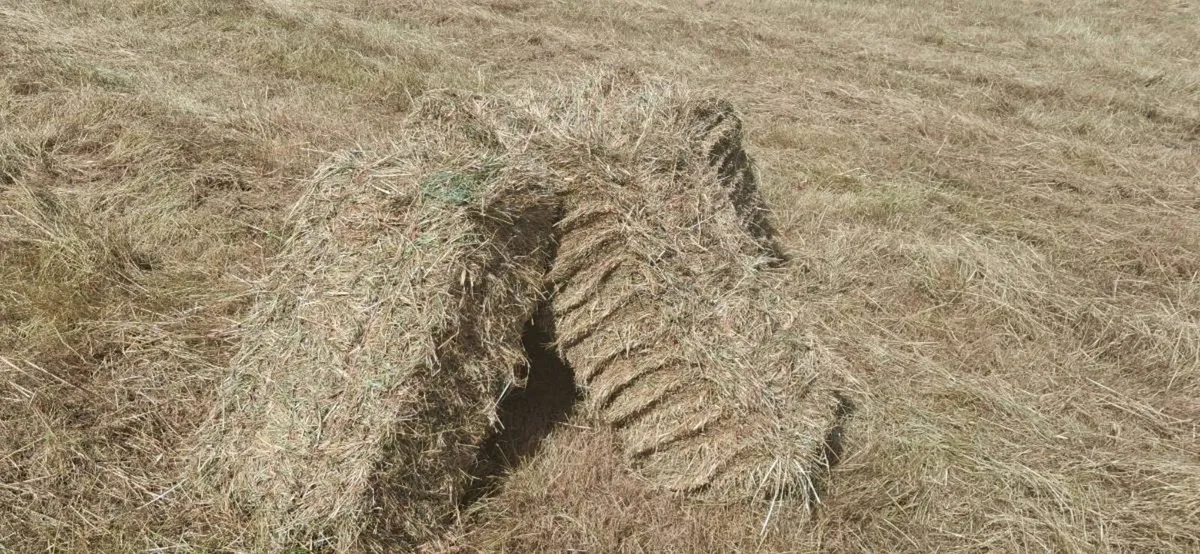 Small Square Bales - Image 2