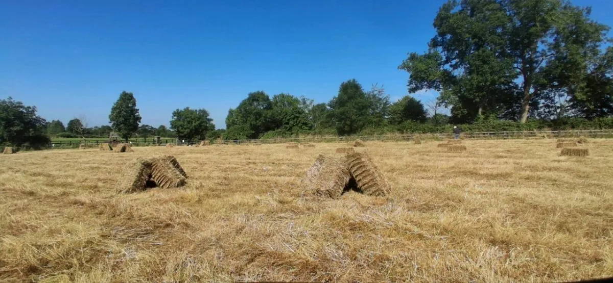 Small Square Bales - Image 3