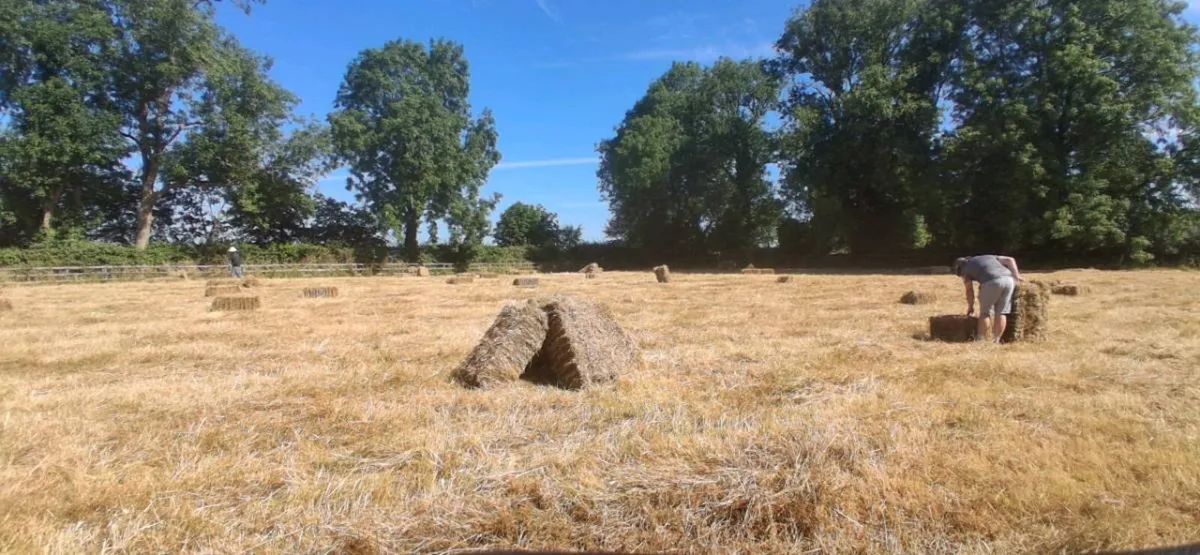 Small Square Bales - Image 4