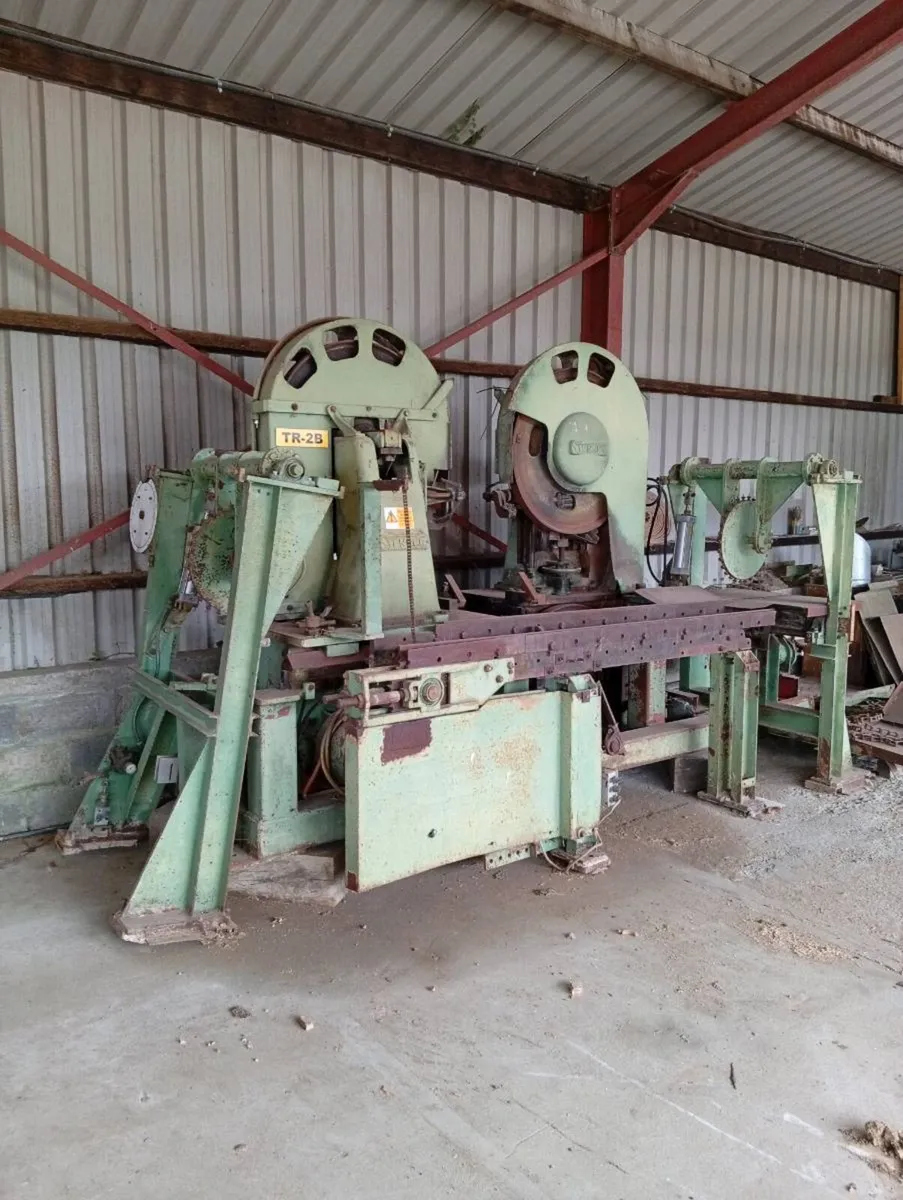 Stenner twin bandsaw - Image 1