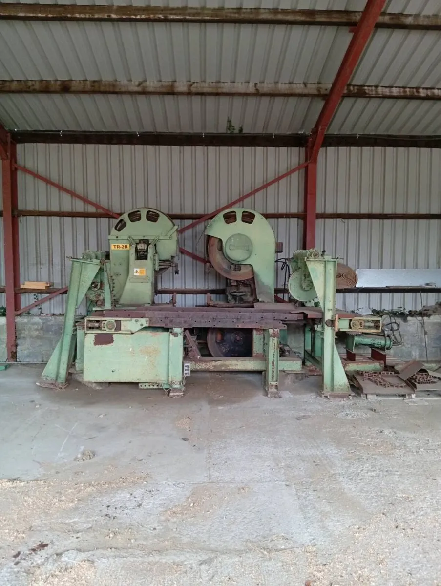 Stenner twin bandsaw - Image 3